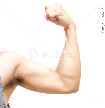 biceps on white background 16878496