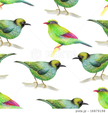 Watercolor pattern 16879198