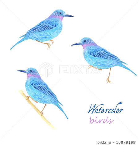 Watercolor pattern 16879199