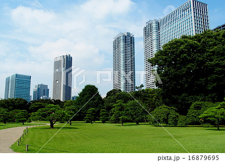 浜離宮恩賜公園 16879695