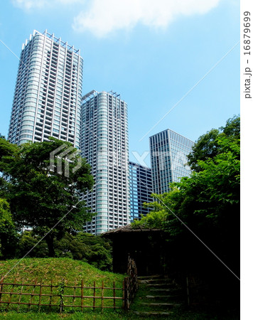 浜離宮恩賜公園 16879699