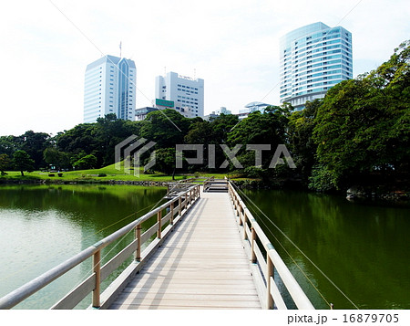 浜離宮恩賜公園 16879705