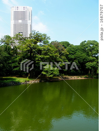 浜離宮恩賜公園 16879707