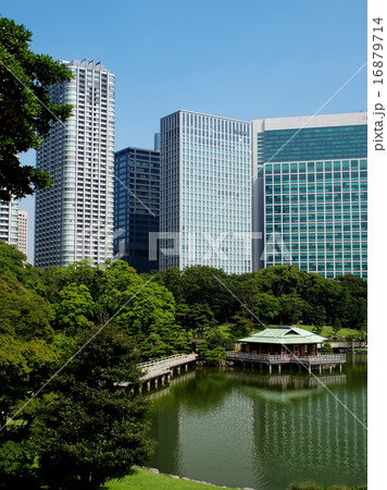 浜離宮恩賜公園 16879714