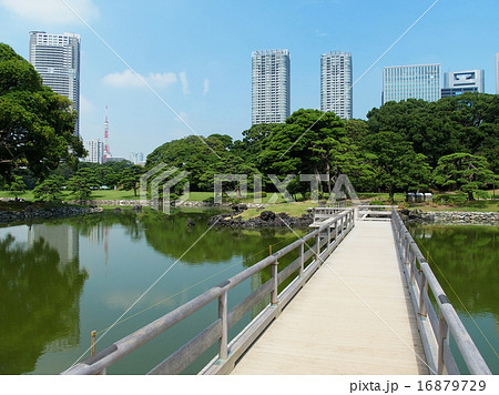 浜離宮恩賜公園 16879729