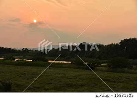 思川河畔の夕日 16881205