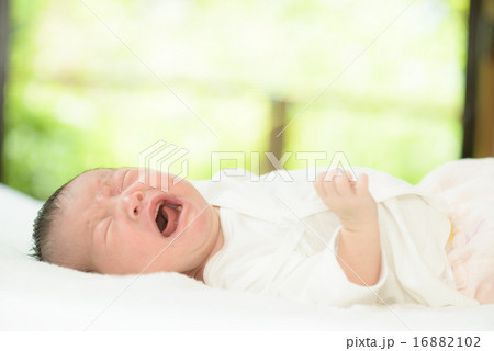 窓際で泣いている赤ちゃん 16882102