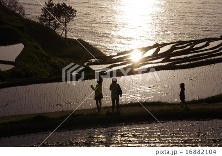 夕日に遊ぶ子ともたち 16882104