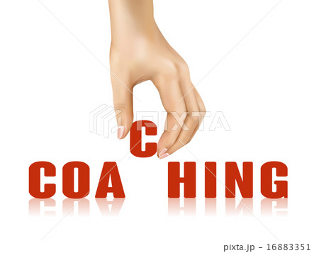 16883351