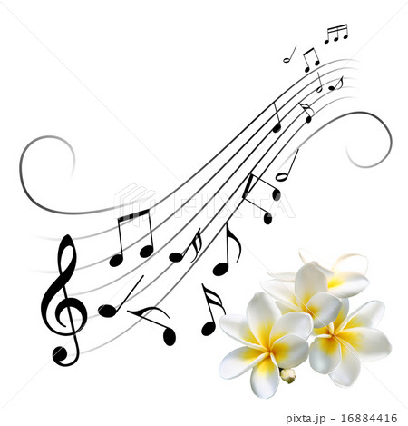 【363】plumeriaページ stock-photo-frangipani-