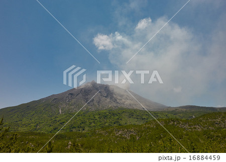 有村溶岩展望所から見た小噴火中の桜島 16884459