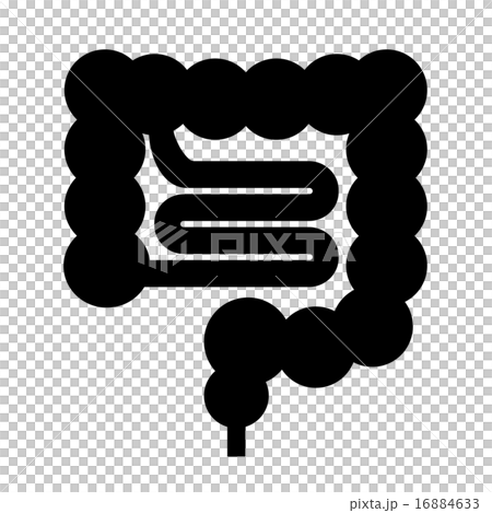 腸のシルエットのイラスト素材