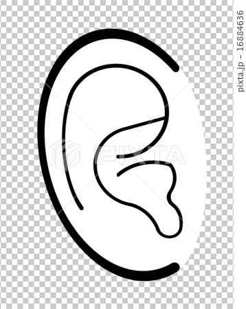 ear ear 16884636