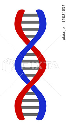 DNA DNA 16884637