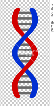human genome, simplification, identification 16884637