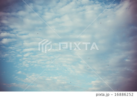 cirrus clouds in the blue retro sky  16886252