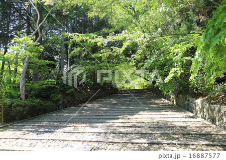 京都　光明寺　女人坂 16887577