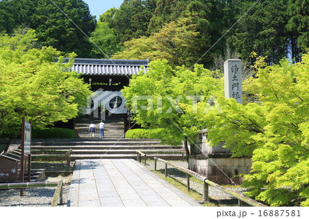 京都　光明寺　総門 16887581