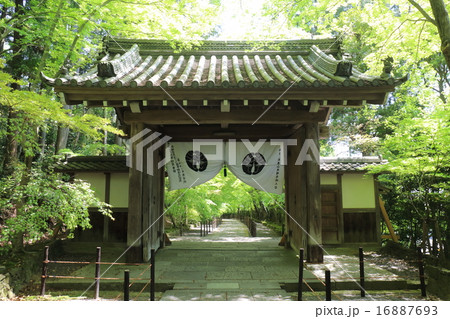 京都　光明寺　薬医門 16887693