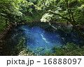 青池（十二湖）2 16888097