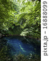 青池（十二湖）4 16888099