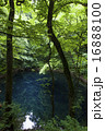 青池（十二湖）5 16888100