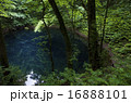 青池（十二湖）6 16888101