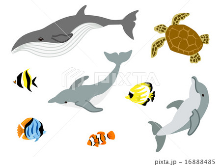 海洋生物 セットのイラスト素材 海洋生物 セットのイラスト素材