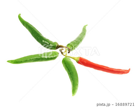 Star shape made of chili peppers 16889721