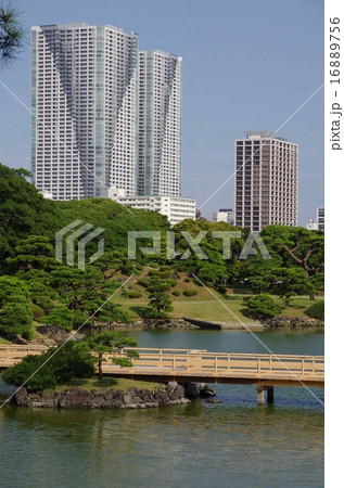 浜離宮恩賜庭園 16889756