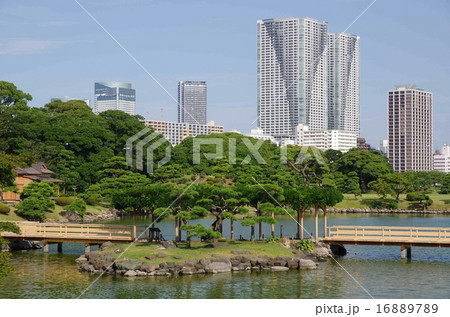 浜離宮恩賜庭園とタワーマンション(東京都中央区) 浜離宮恩賜庭園とタワーマンション(東京都中央区) 16889789