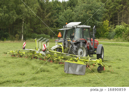 Shaking of the mown grass with red tractor Shaking of the mown grass with red tractor 16890859