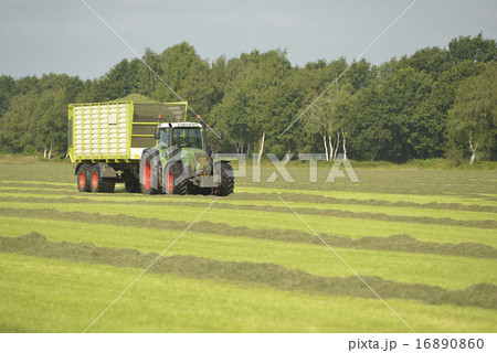 Transport of cut grass with green tractor Transport of cut grass with green tractor 16890860