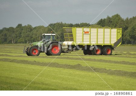 Transport of cut grass with green tractor Transport of cut grass with green tractor 16890861