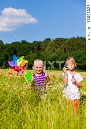 Two children in summer field playing 16891028