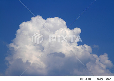 夏の大空　巨大な入道雲 16891302