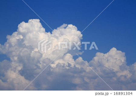 夏の大空　巨大な入道雲 16891304