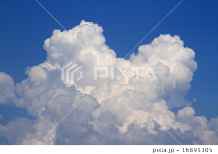 夏の大空　巨大な入道雲 16891305