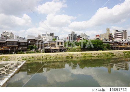 京都鴨川 16891785