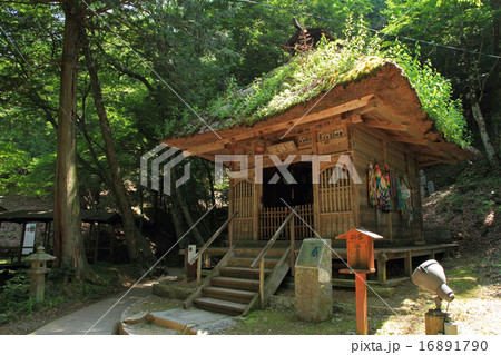 鹿教湯温泉 薬師堂 16891790