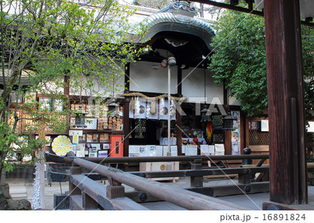 京都　白峯神宮　拝殿 16891824