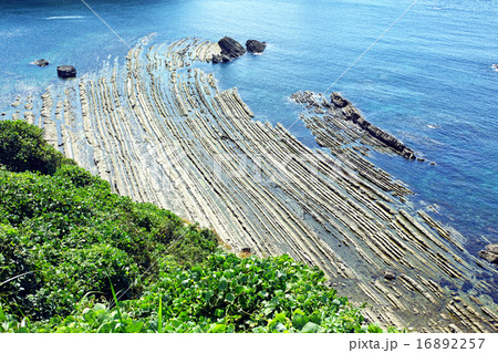 島根半島　須々海海岸　洗濯岩 16892257