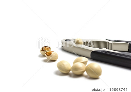 食材　ぎんなんとクルミ割器 16898745