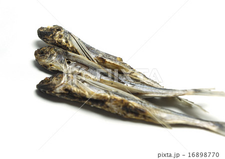 食材 あご トビウオ焼き干し 食材 あご トビウオ焼き干し 16898770