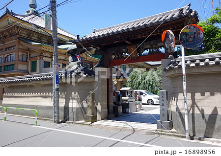 真性寺の山門 16898956