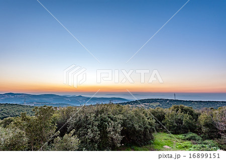 アジュルーン(ヨルダン、アジュルーン) 16899151