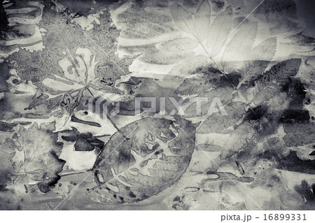 Abstract watercolor with autumn leaf prints 16899331