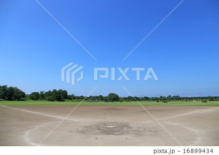 多摩川緑地 多摩川緑地 16899434