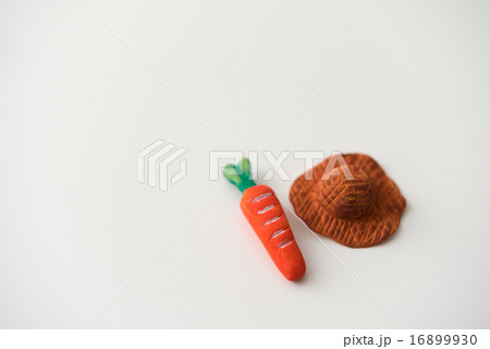 にんじん,人参,ニンジン 16899930