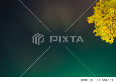 Green sky Green sky 16900774